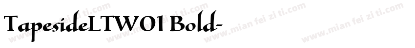 TapesideLTW01 Bold字体转换